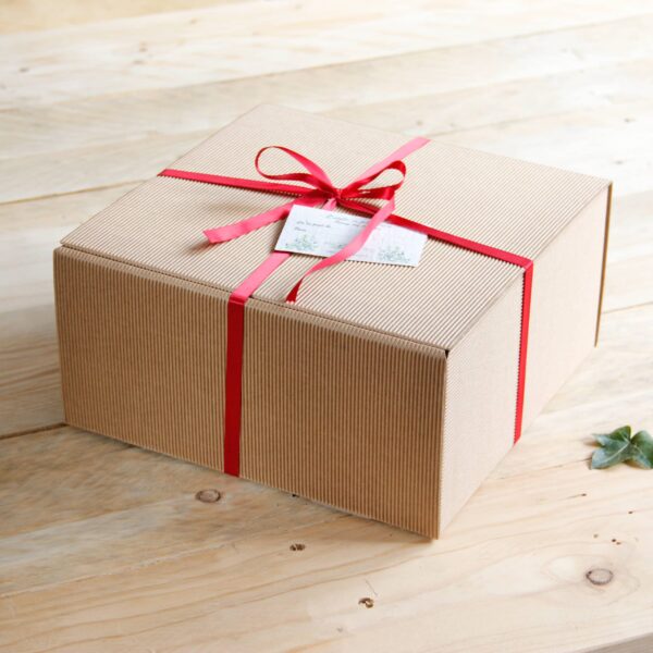 Angie Be Green coffret complet Angie Be Green coffret complet