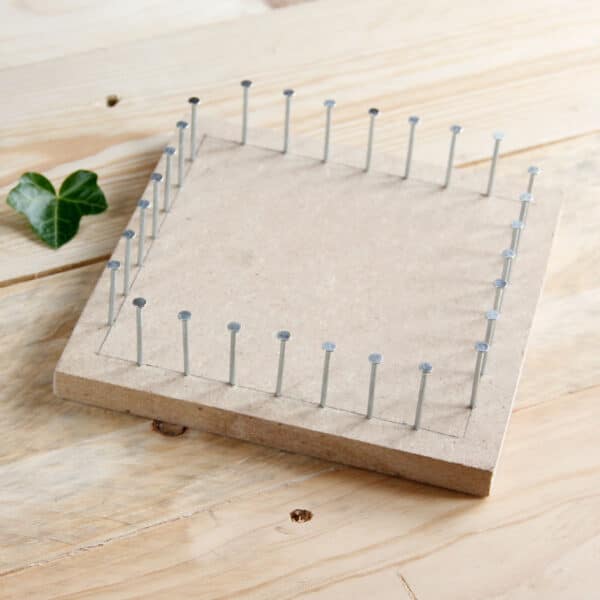 Angie Be Green Kit diy tawashi
