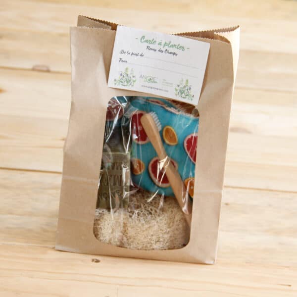 Angie Be Green coffret découverte