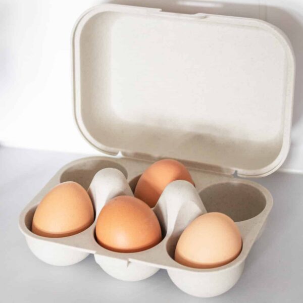BOITE À OEUFS Boîte à œuf écologique