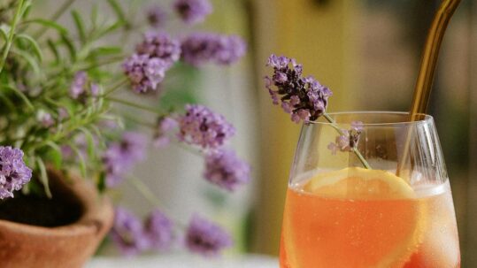 10 astuces pour un apéro 100 % zéro déchet