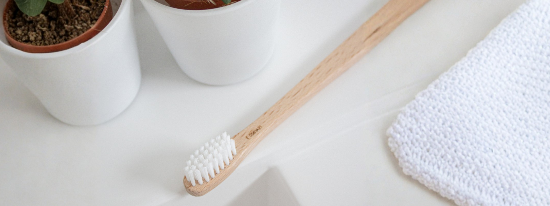 brosse a dents en bois angiebegreen