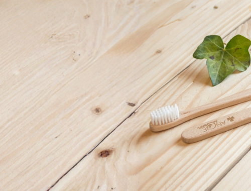 choisir brosse dents bois
