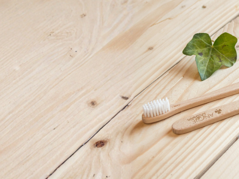 choisir brosse dents bois