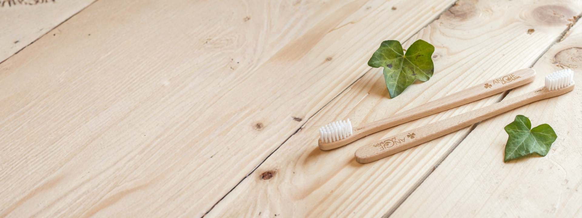 choisir brosse dents bois